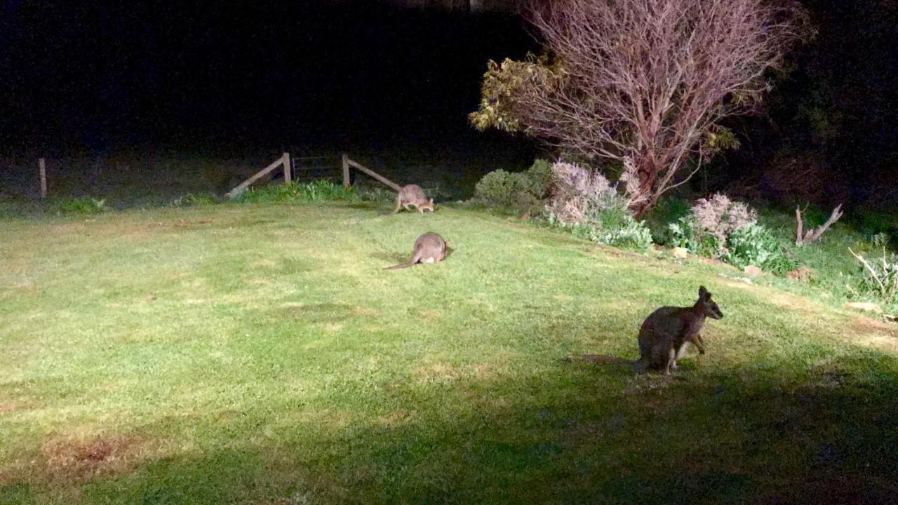 Bee'S Place - 3 Bedroom Home On 10 Acres Of Land With Distant Ocean Views Emu Bay Esterno foto